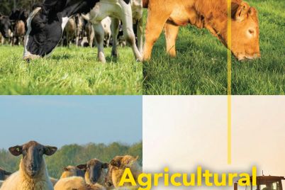 Barenbrug-Barforage-Product-Guide-2027.jpg