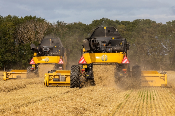 Crisp_Malting_image-111-@300-scaled.jpg