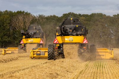 Crisp_Malting_image-111-@300-scaled.jpg