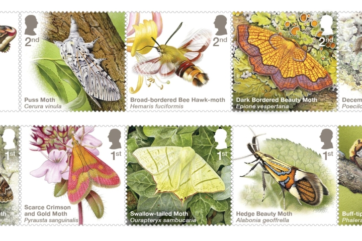 Moths-Stamps-scaled.jpg