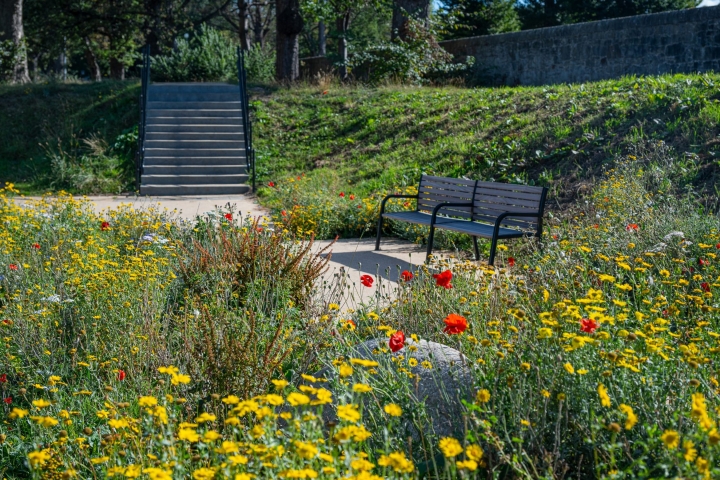 bench-and-flowers_cropped-scaled.jpg
