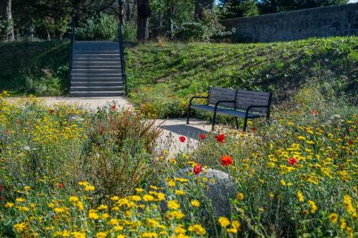 bench-and-flowers_cropped-scaled.jpg